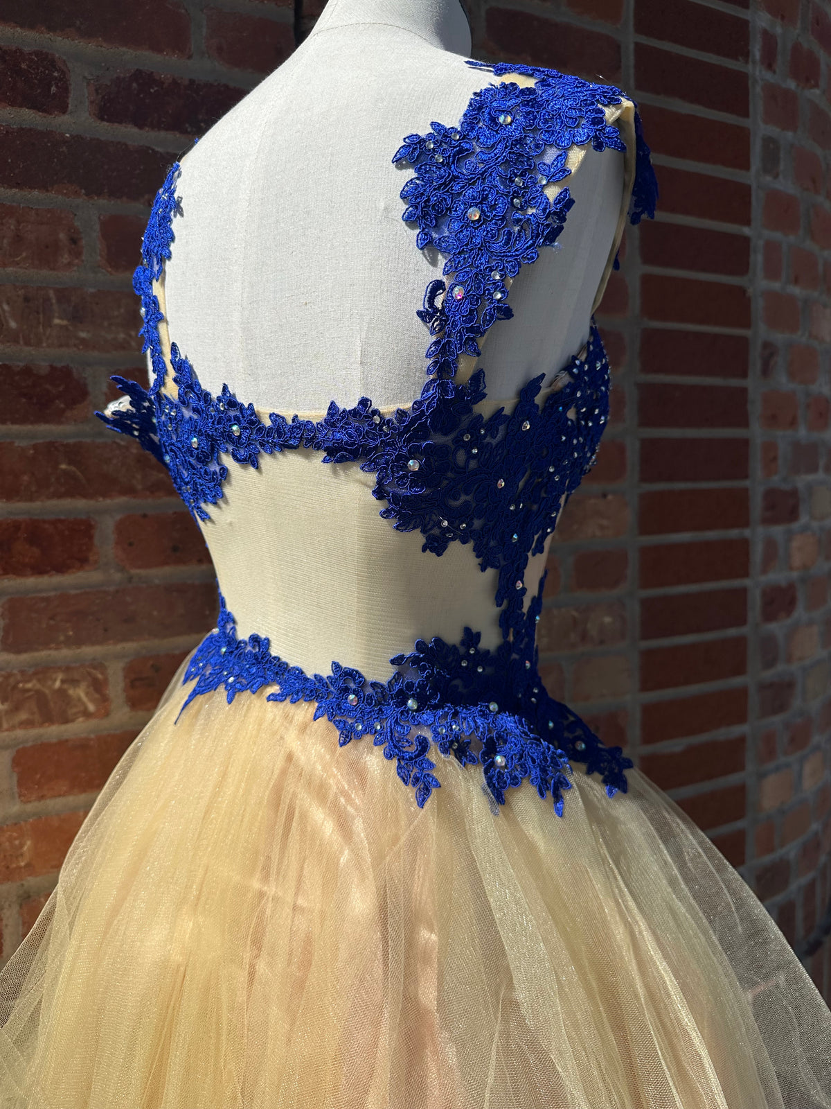 Royal Blue & Nude Dress