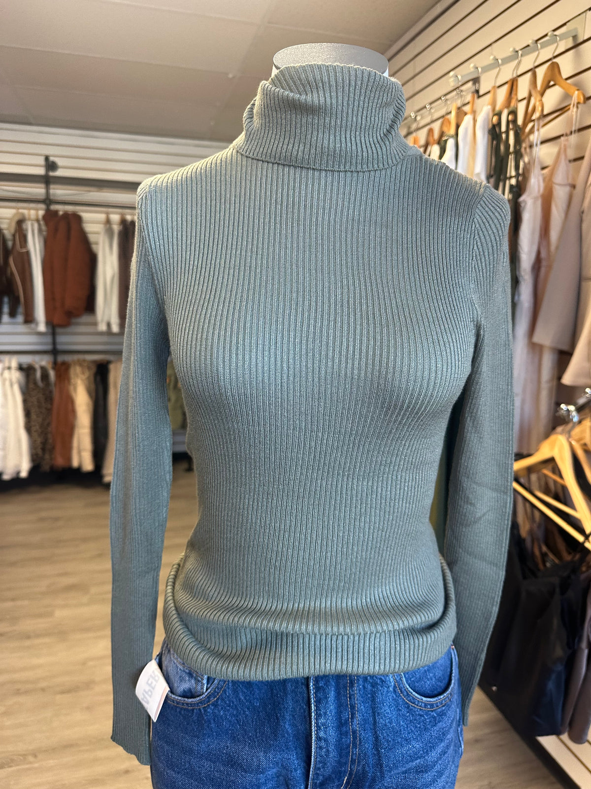 Ribbed Turtle Neck