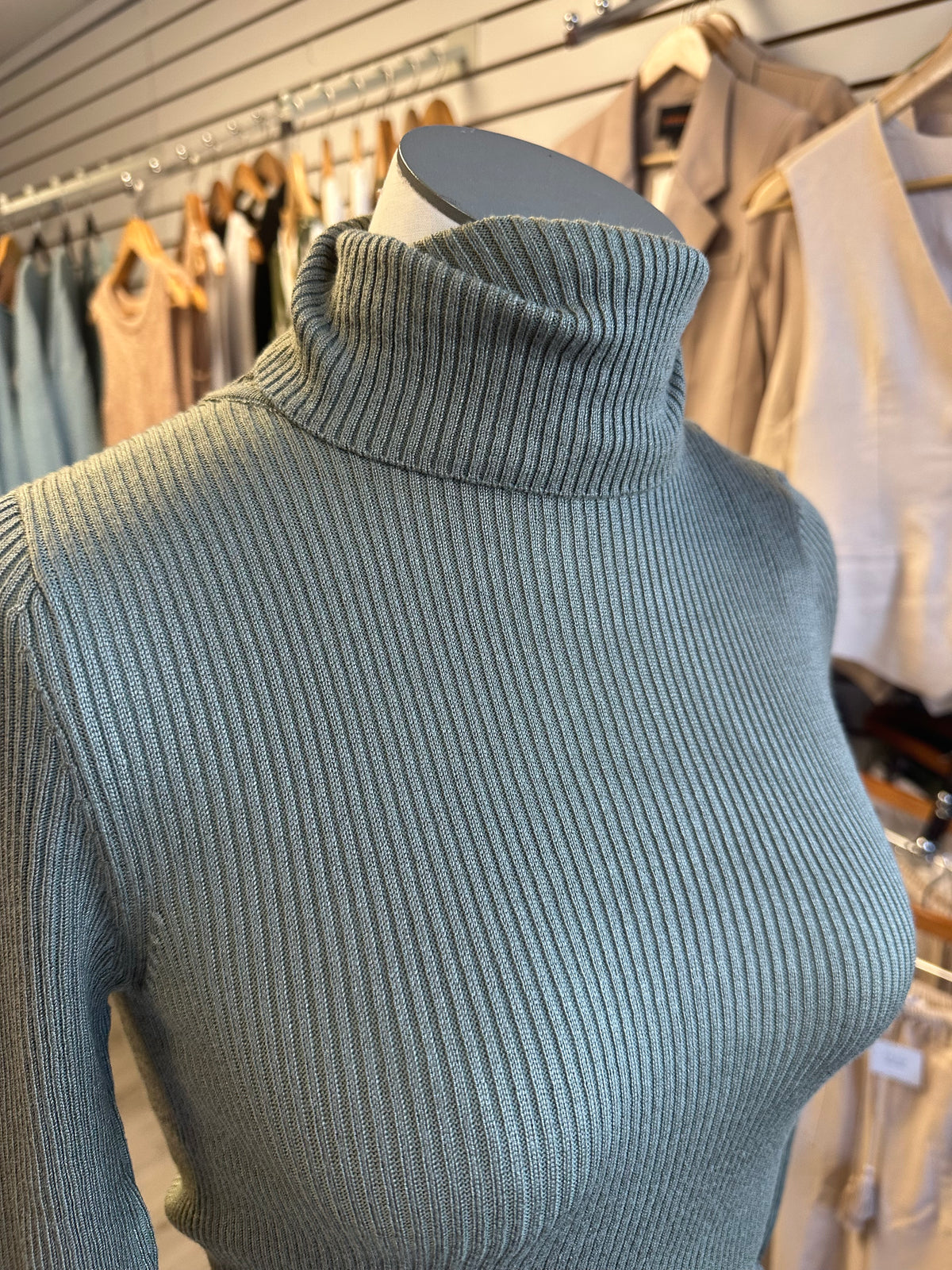 Ribbed Turtle Neck