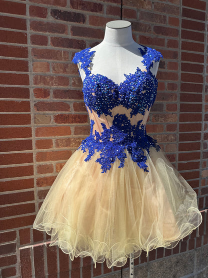 Royal Blue & Nude Dress