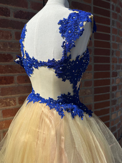 Royal Blue & Nude Dress