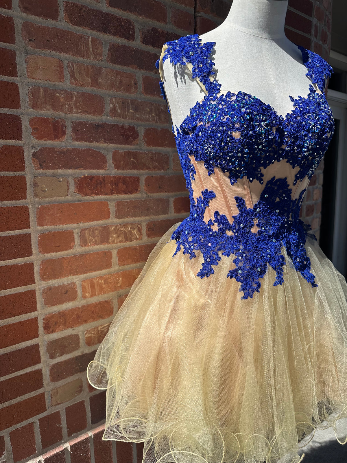 Royal Blue & Nude Dress