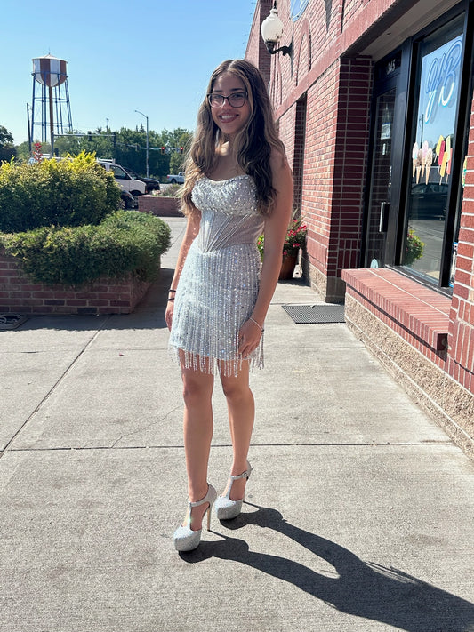 Silver Sequin Fitted Corset Dress