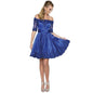 Embroidered Lace Applique Homecoming Dress Royal Blue