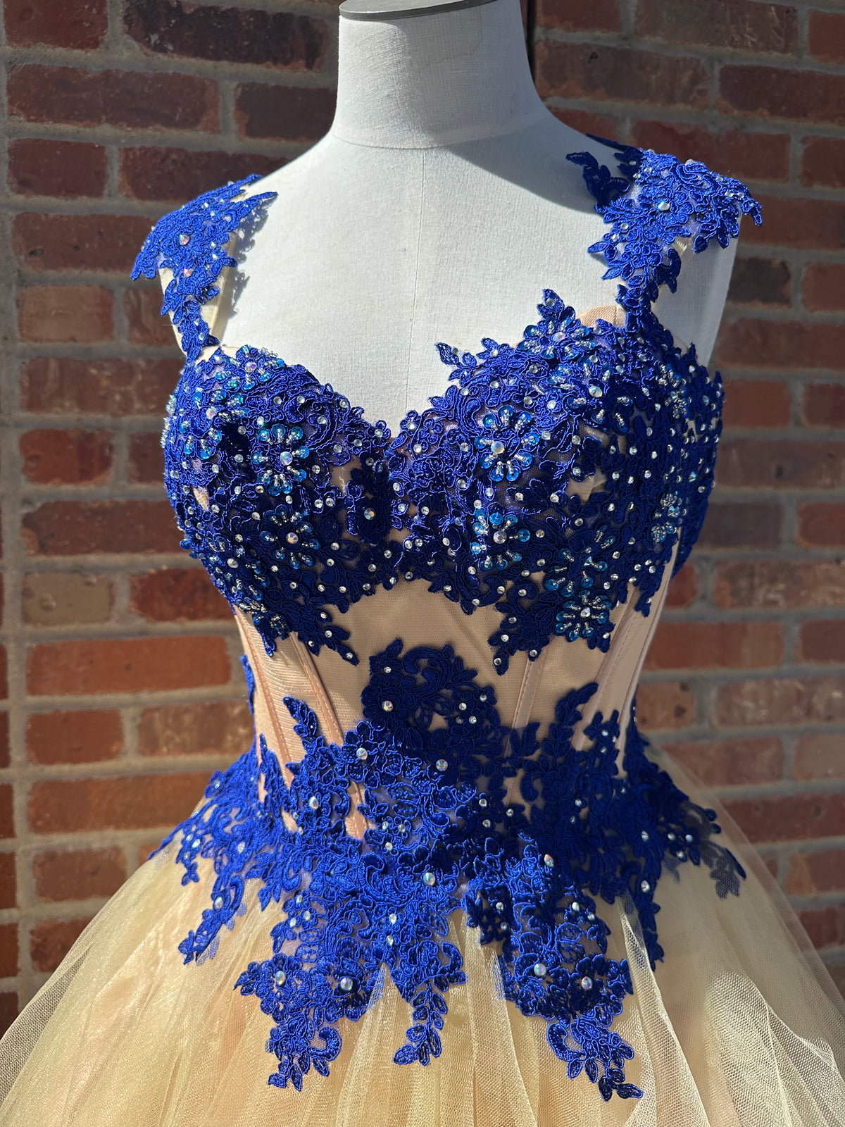 Royal Blue & Nude Dress