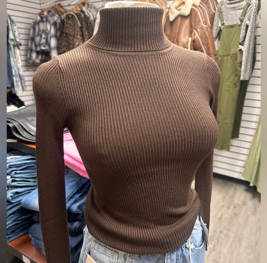 Ribbed Turtle Neck