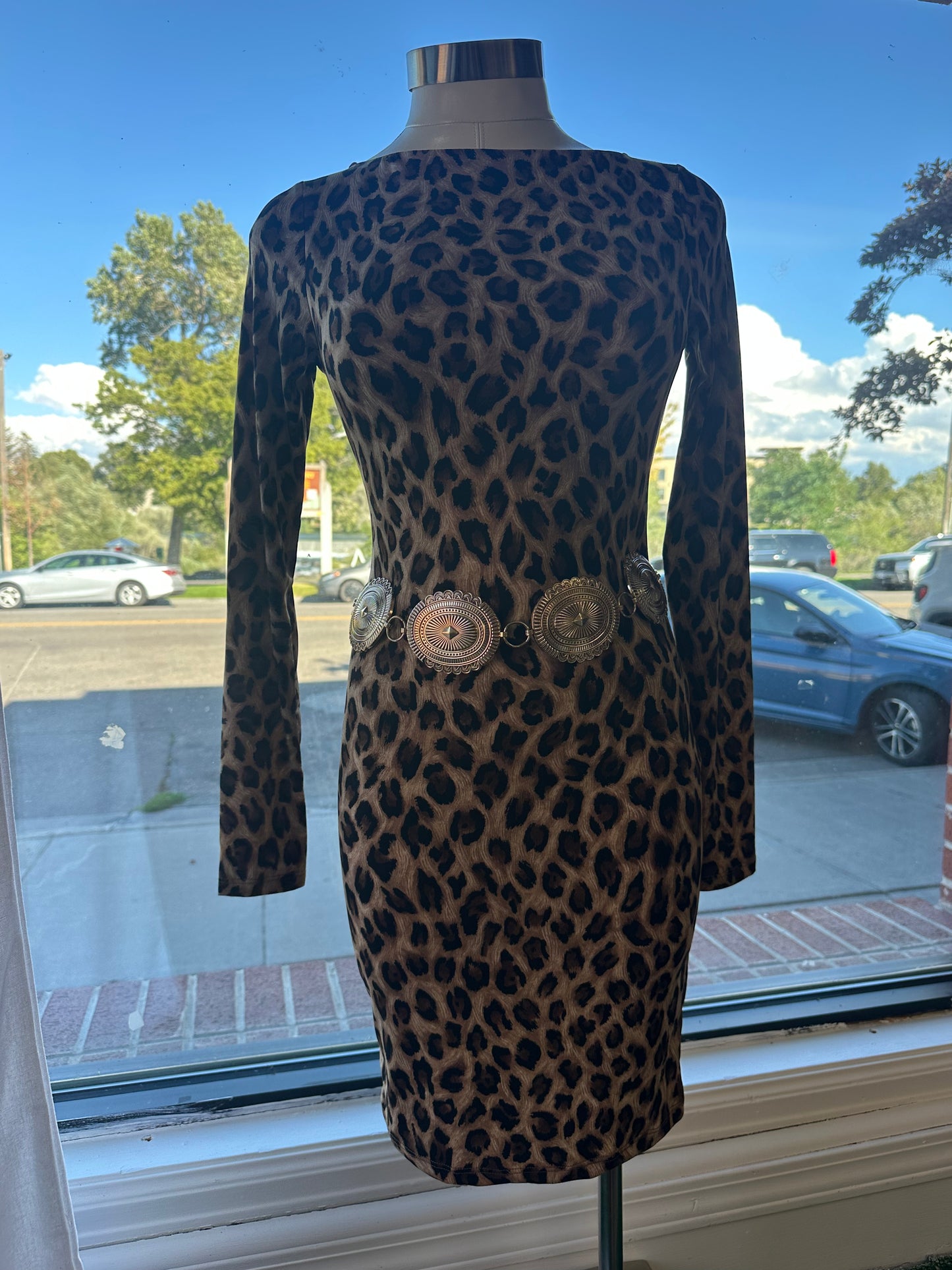 Animal Print Fitted Long Sleeve Dress