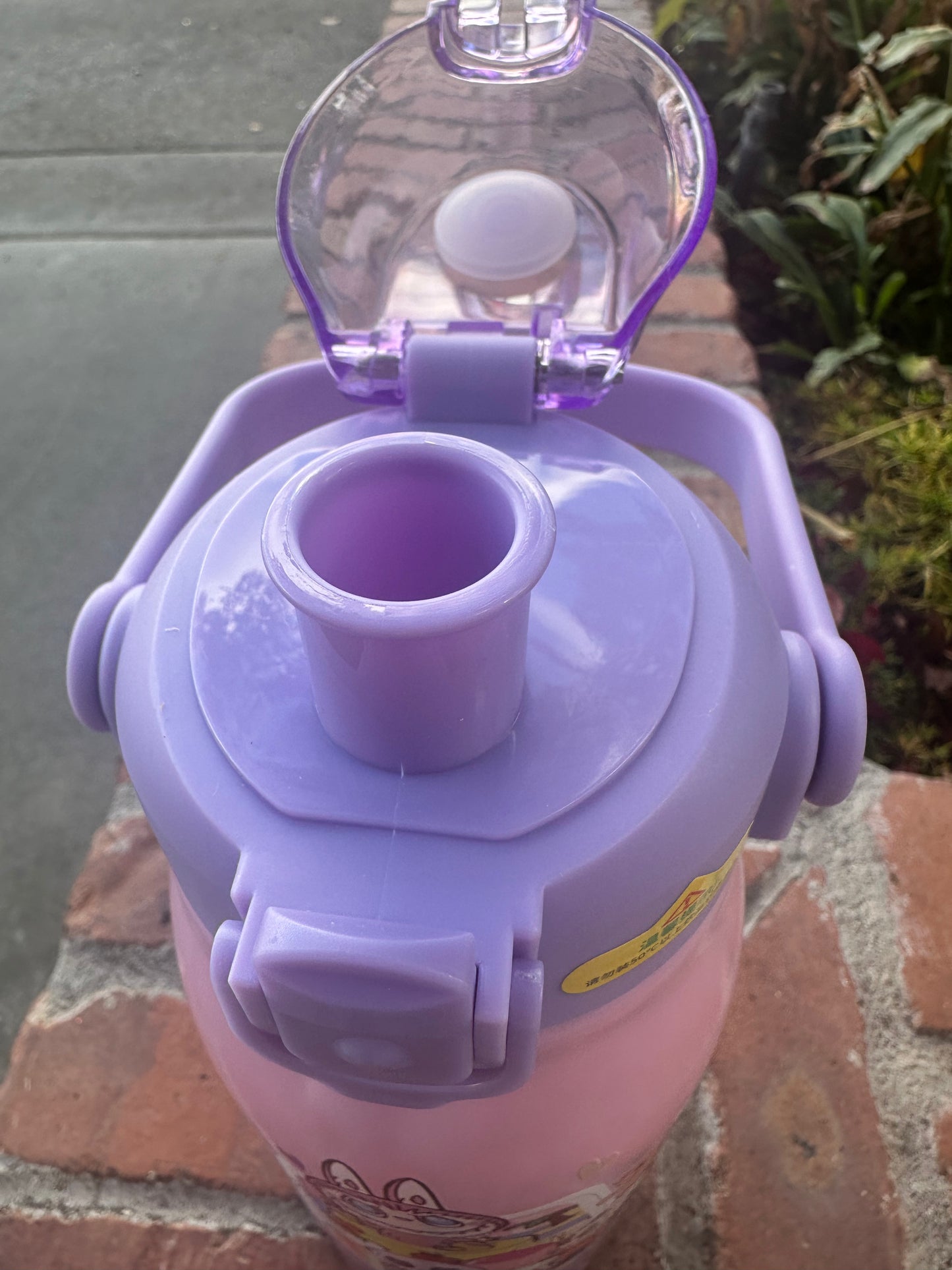 Little Monsters Water Bottle