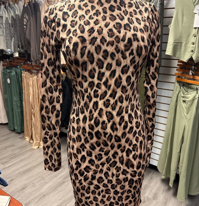 Animal Print Fitted Long Sleeve Dress