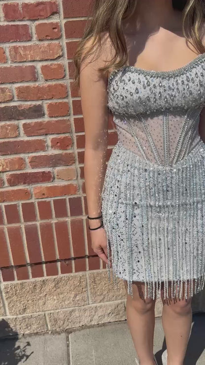 Silver Sequin Fitted Corset Dress