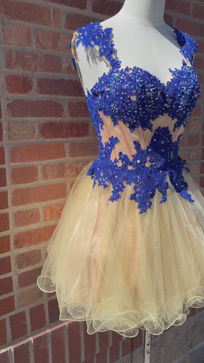 Royal Blue & Nude Dress